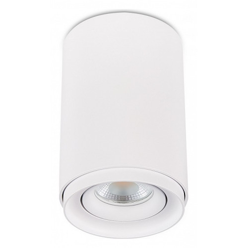 Накладной светильник SIMPLE STORY 2065 2065-1CLW