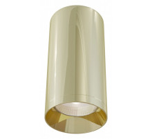 Накладной светильник Maytoni Technical Focus C010CL-01G