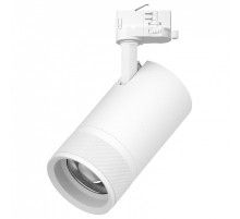 Светильник на штанге Lightstar Canno Pro C4406QT