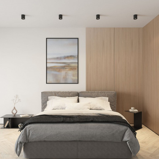 Накладной светильник Denkirs DK3040 DK3090-BK