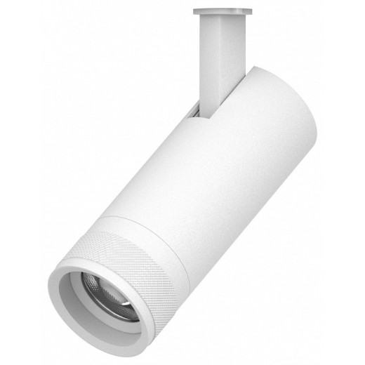 Светильник на штанге Lightstar Canno Pro 304126