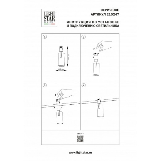 Светильник на штанге Lightstar Due Hermes 210247