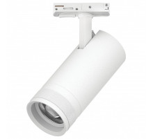 Светильник на штанге Lightstar Canno Pro C4206SS