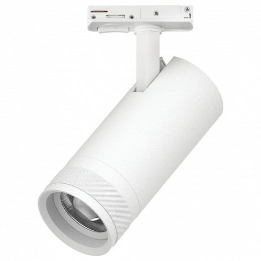 Светильник на штанге Lightstar Canno Pro C4206SS