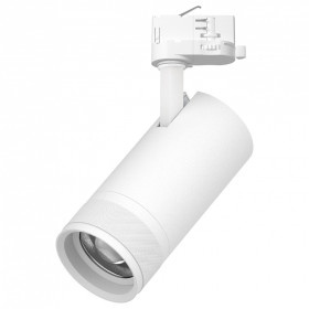 Светильник на штанге Lightstar Canno Pro C4306QT