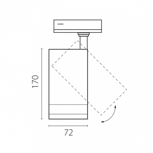 Светильник на штанге Lightstar Canno Pro C4207SS
