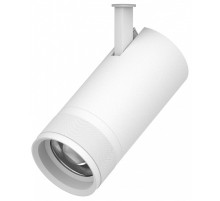 Светильник на штанге Lightstar Canno Pro 304306