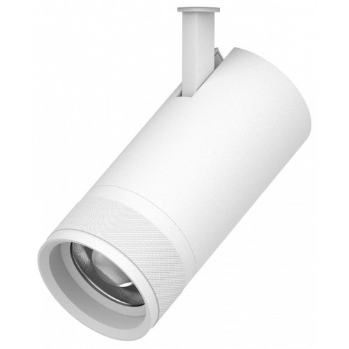 Светильник на штанге Lightstar Canno Pro 304306