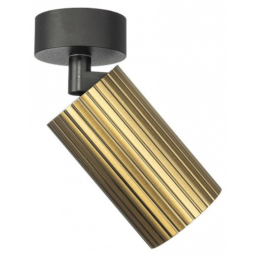 Накладной светильник Citilux AXEL CL512213R