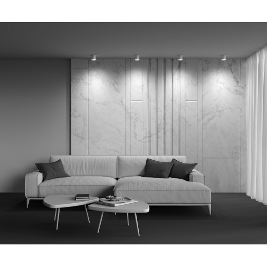 Накладной светильник Maytoni Technical Polar C088CL-GX53-MG