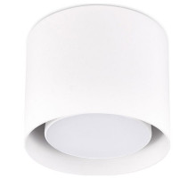 Накладной светильник Ambrella Light TN TN700