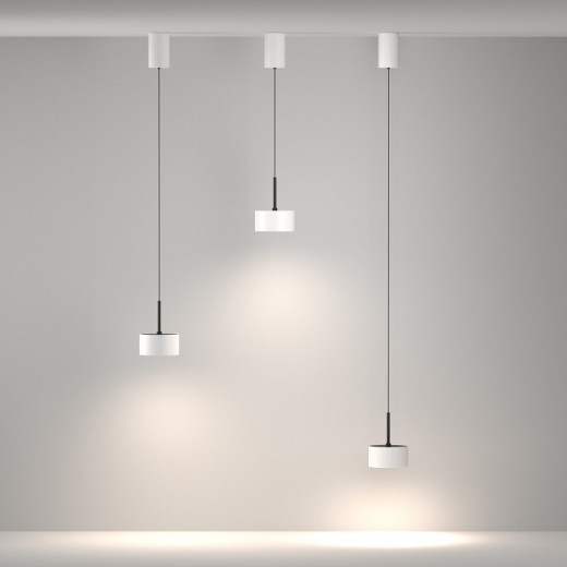 Подвесной светильник Maytoni Technical Glare P102PL-12W4K-W