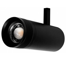 Светильник на штанге Lightstar Canno Pro 304207