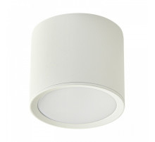 Накладной светильник  53005-9.5-001LD GX53 WT