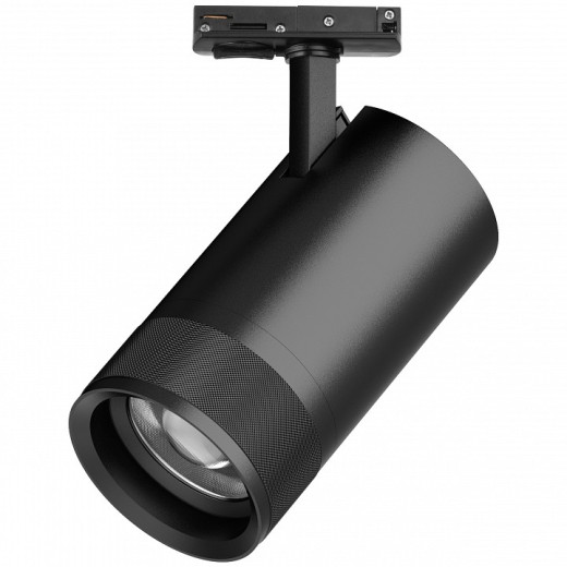 Светильник на штанге Lightstar Canno Pro C4407SS