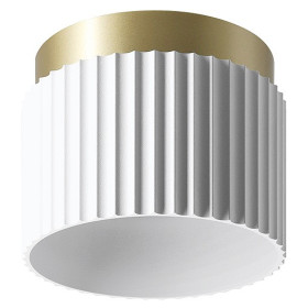 Накладной светильник Wolta MUSE WSL-GX53/19WG