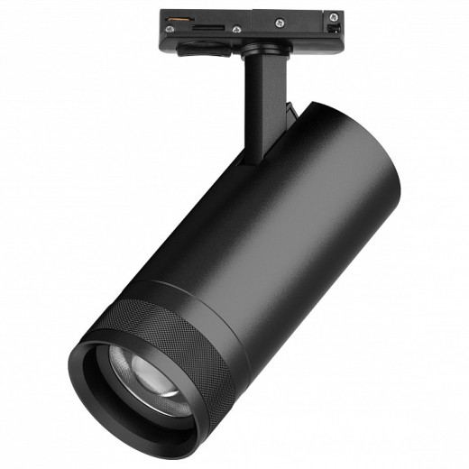 Светильник на штанге Lightstar Canno Pro C4207SS