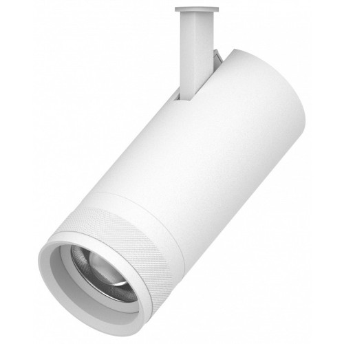 Светильник на штанге Lightstar Canno Pro 304206