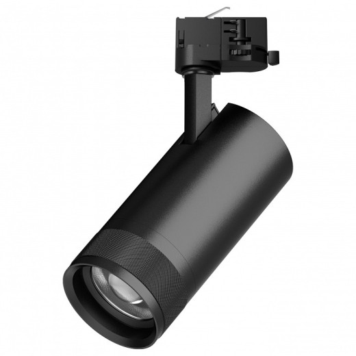 Светильник на штанге Lightstar Canno Pro C4307QT