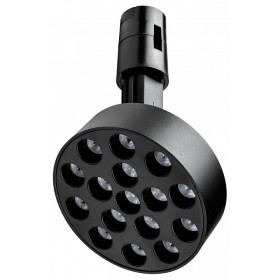 Светильник на штанге Lightstar Due Hermes 210747