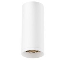 Накладной светильник Maytoni Technical Focus C010CL-01W-N