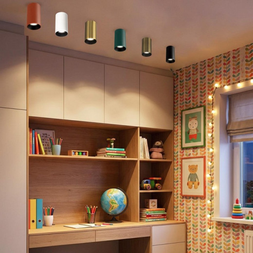 Накладной светильник Citilux AXEL CL512113R