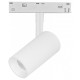 Светильник на штанге Lightstar Uno CCT 209106CCT