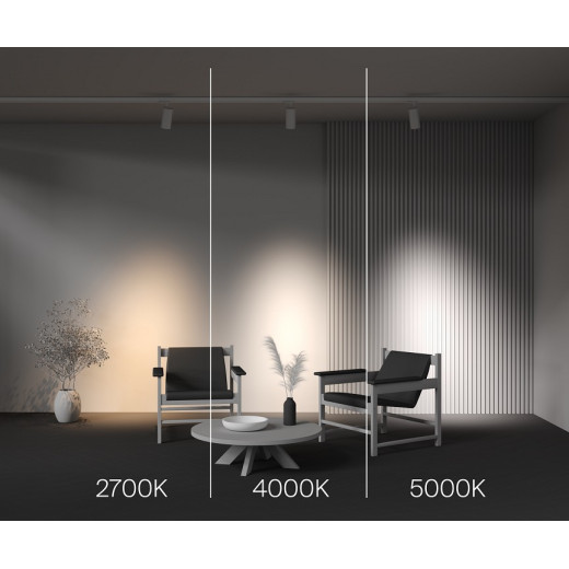 Светильник на штанге Focus Led TR197-3-40WCCT-M-W