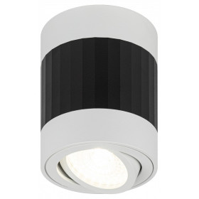 Накладной светильник Эра OL34 WH/BK Б0056383