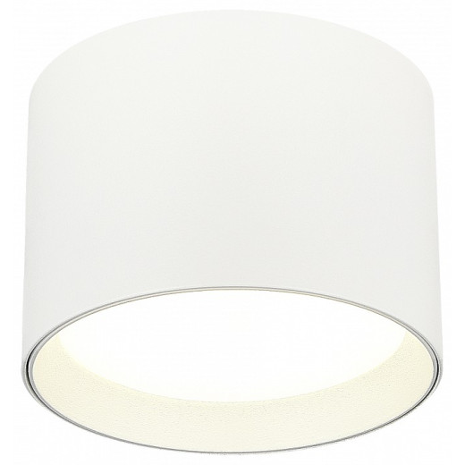 Накладной светильник ST-Luce  ST163.502.01.02