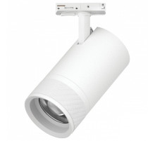 Светильник на штанге Lightstar Canno Pro C4406SS