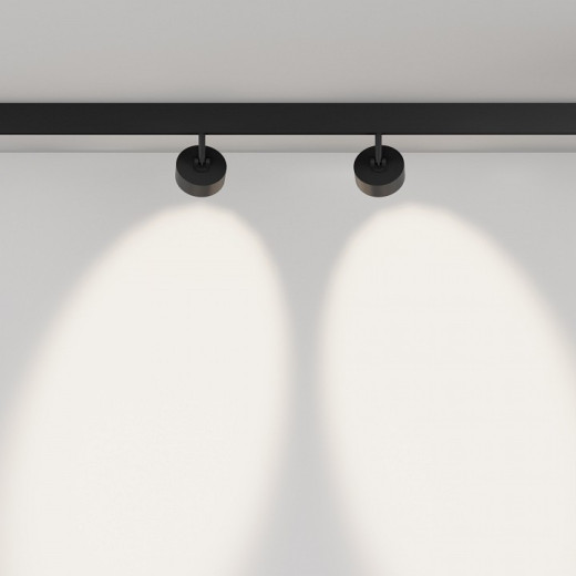 Светильник на штанге Maytoni Lens TR217-4-15WTW-DS-B