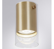 Накладной светильник Arte Lamp Lazio A5365PL-1SG