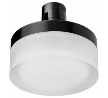 Накладной светильник Lightstar Due Hermes 210647