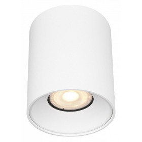 Накладной светильник ST-Luce ST167 ST167.502.01