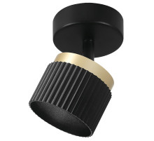 Накладной светильник Wolta MUSE WSL-GX53/19BG-2