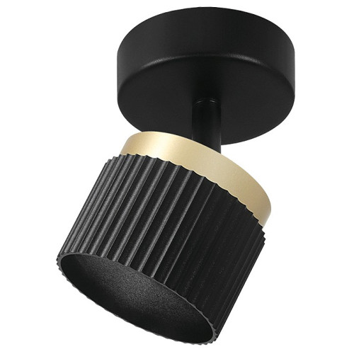 Накладной светильник Wolta MUSE WSL-GX53/19BG-2