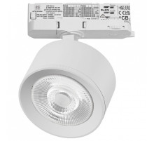 Светильник на штанге Lightstar Alta Pro A5546QT60G