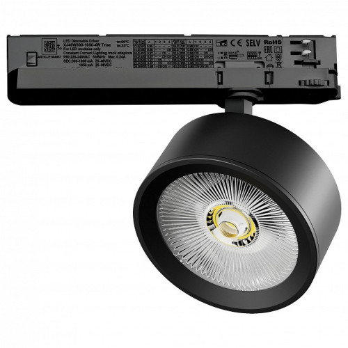 Светильник на штанге Lightstar Alta Pro A5647TRIAC