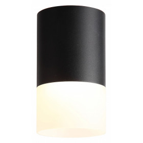 Накладной светильник ST-Luce Ottu ST100.402.05