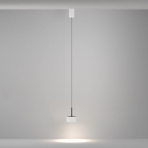 Подвесной светильник Maytoni Technical Glare P102PL-12W4K-W