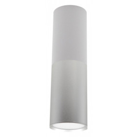 Накладной светильник Escada 20007 20007SMU/02LED SWH/CH