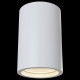 Накладной светильник Maytoni Technical Conik gyps C003CW-01W
