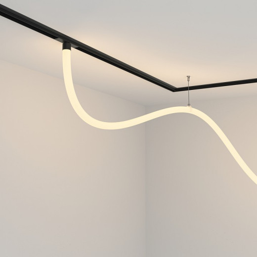 Подвесной светильник Maytoni Technical Tau TR101-2-50W3K-B