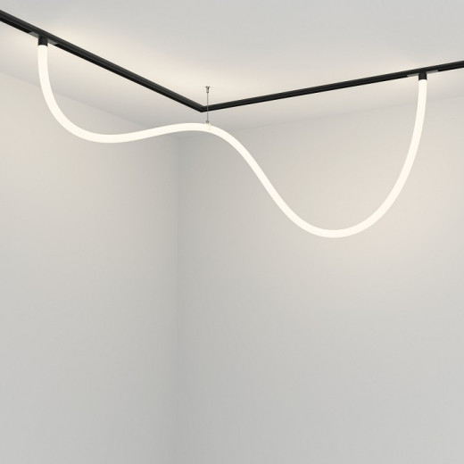 Подвесной светильник Maytoni Technical Tau TR101-2-50W4K-B