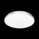 Накладной светильник Sonex PALE 7748/DLN