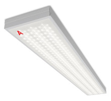 Светильник для потолка Армстронг WoltaSTD  ДПО11-54-142-5К