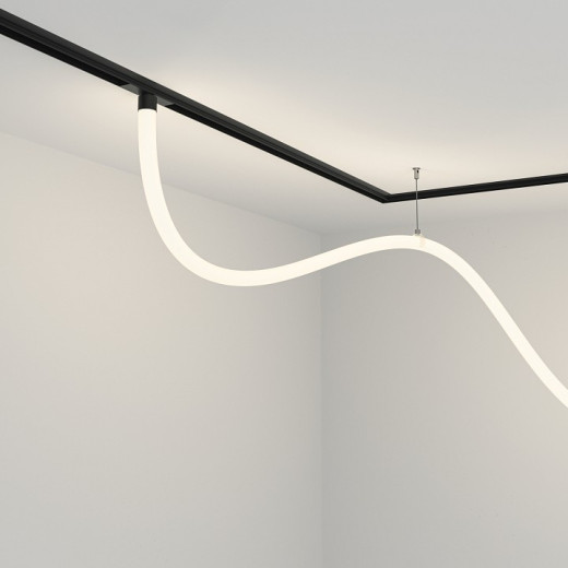 Подвесной светильник Maytoni Technical Tau TR101-2-50W4K-B