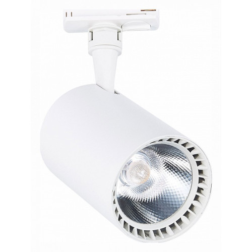 Светильник на штанге ST-Luce Cami ST351.536.30.24