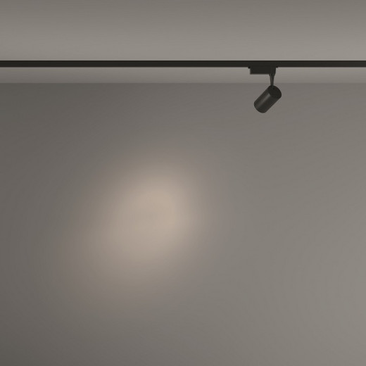 Светильник на штанге Maytoni Technical Vuoro TR003-1-6W4K-S-B